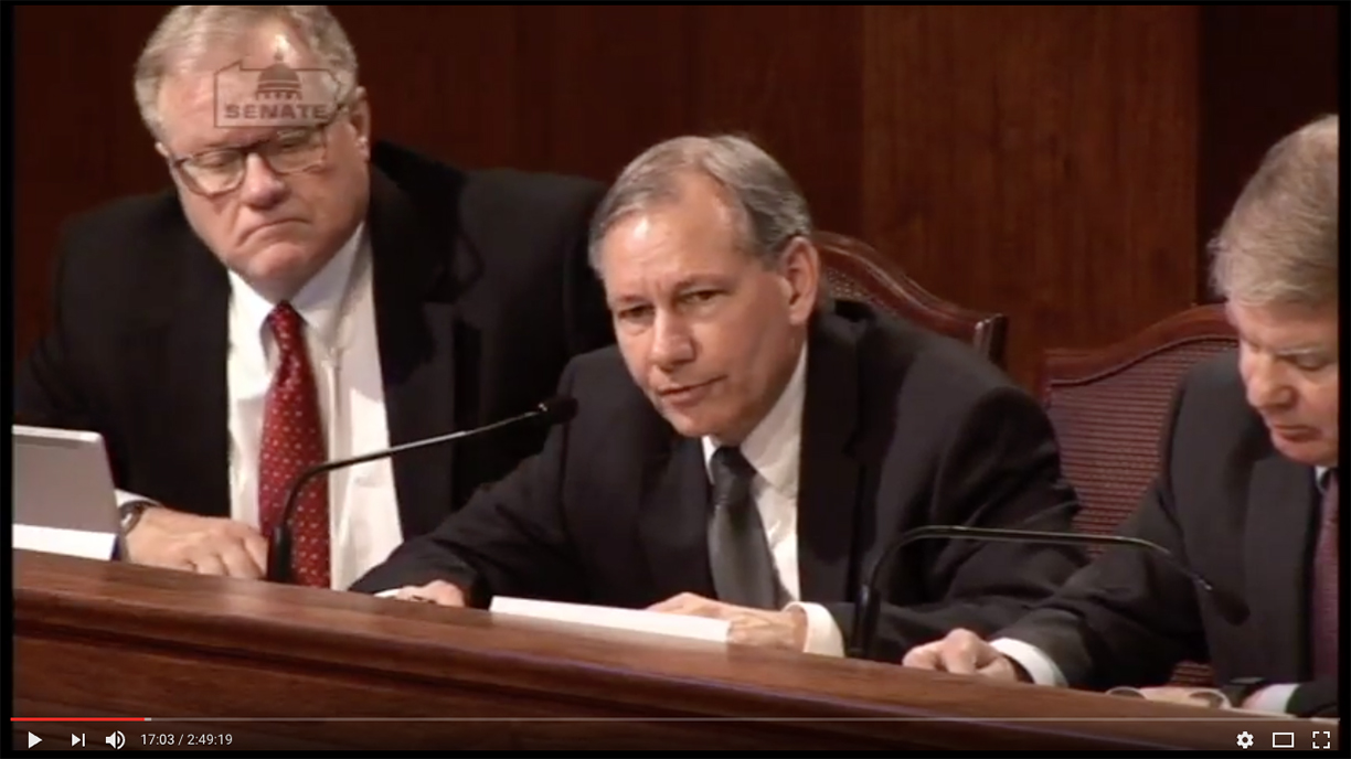 senatehearing17-02eichelberger